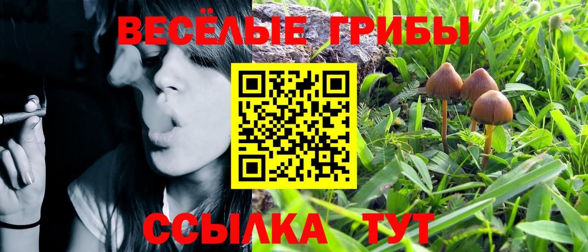 Псилоцибиновые грибы Magic Shrooms Волгоград