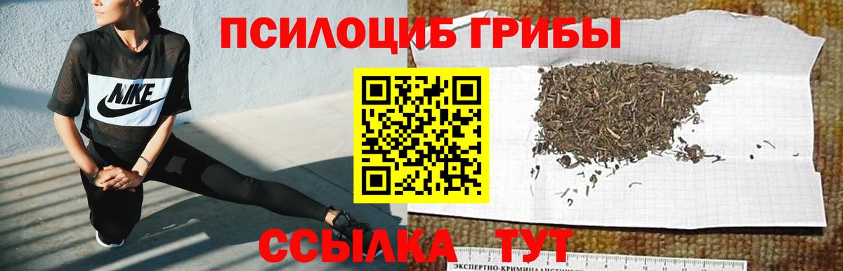 Волгоград  Псилоцибиновые грибы Magic Shrooms  купить   Вход с VPN 